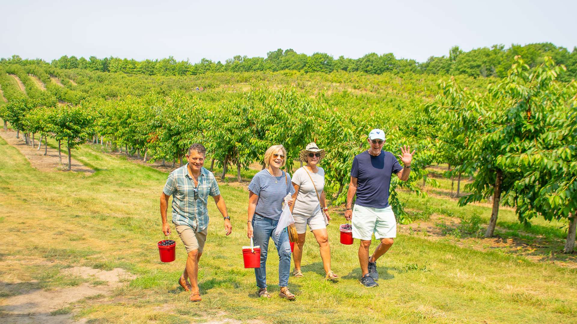 Red Truck Cherry Vinegar: Health Benefits, Wellness Tips, and Everyday Uses