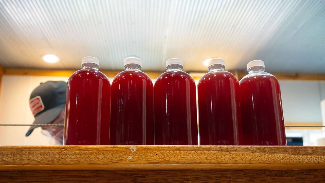 Red Truck Cherry Vinegar: A Gut-Health Elixir?