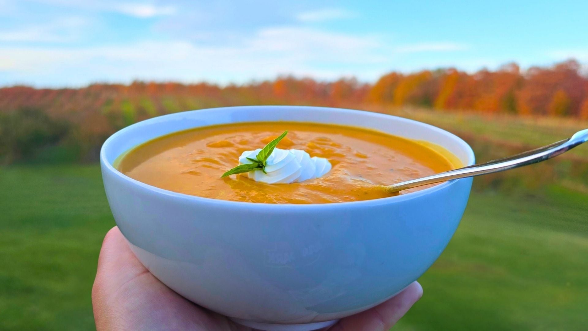 Boosted Butternut Squash Soup - Recipe