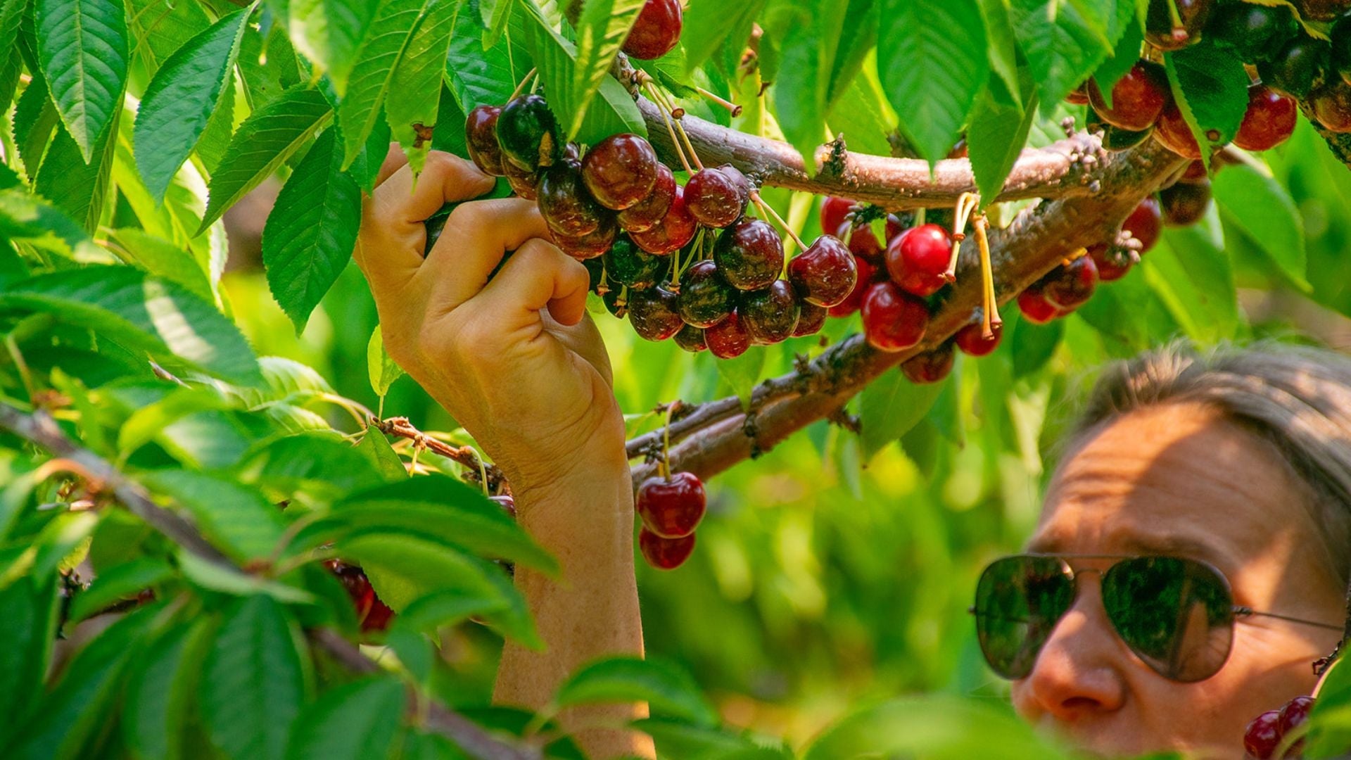 Acetic Acid: The Power Behind the Pucker – Red Truck Vinegar