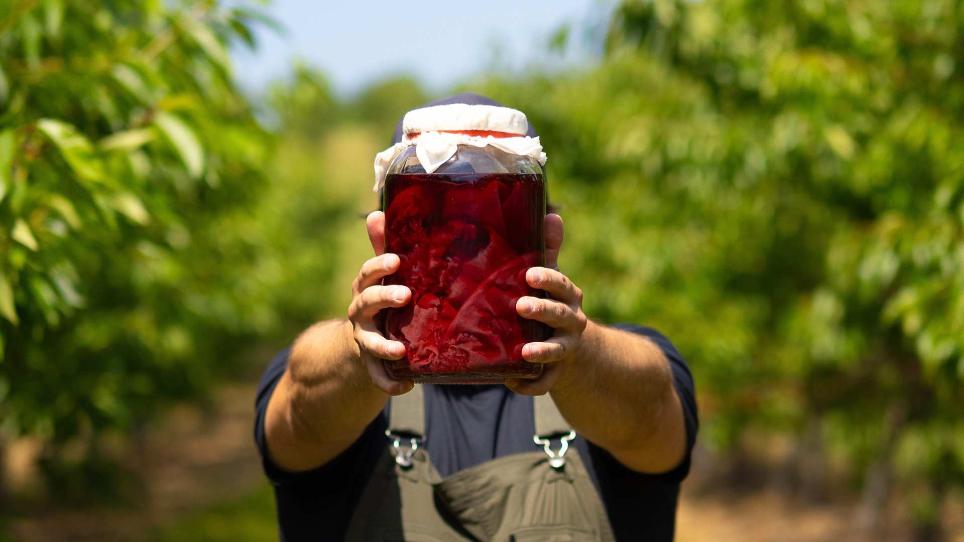 Anthocyanins: The Health Punch from Cherries in Red Truck Cherry Vinegar